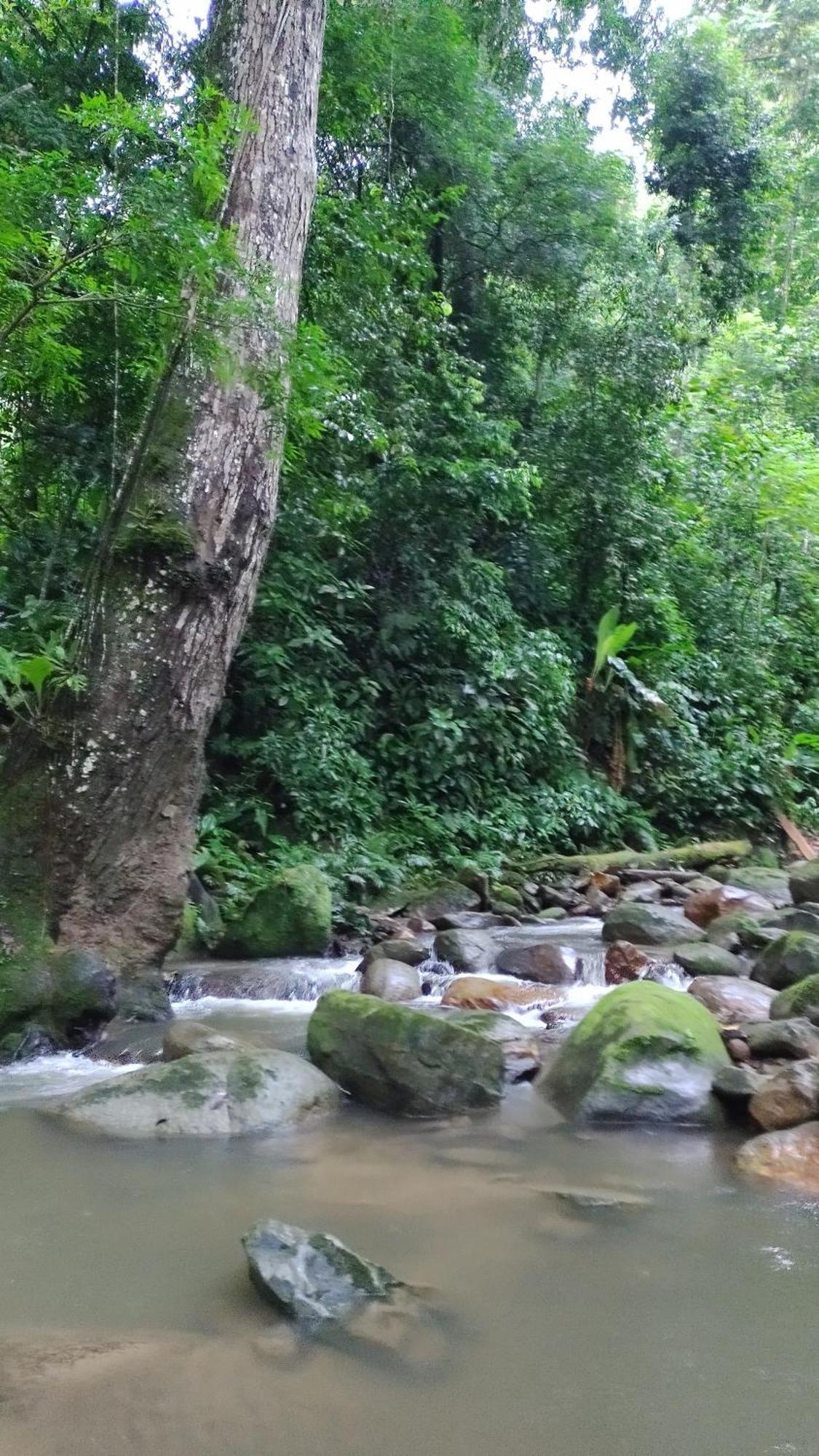 Casaluna Tayrona Villa Santa Marta  Exteriör bild